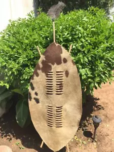 XXL Brown and White Zulu Shield – 145 cm Tall Authentic Cowhide & Wooden Frame - Picture 1 of 10
