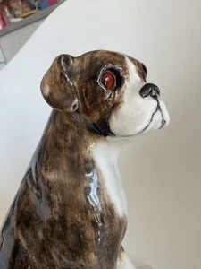Exquiste Winstanley Brindle Boxer Size 6 - Picture 1 of 11