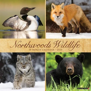 Calendario de pared Northwoods Wildlife 2026 12" x 12" (envío gratuito) - Imagen 1 de 5