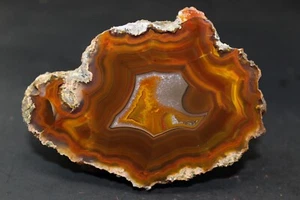 Condor agate collector specimen (Fluorescent) - Picture 1 of 5