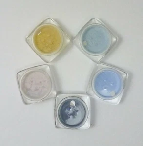 Coastal Scents Mica Pots Loose Eyeshadow Lot of 5 Sold Out Colors New Sealed - Picture 1 of 12