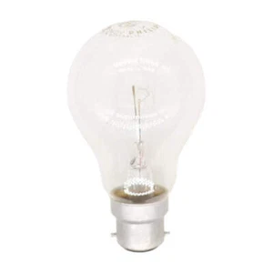 Philips GLS Incandescent Light Bulb B22 260V 25W - Picture 1 of 4