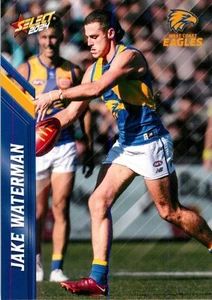 2024 West Coast Eagles AFL Select Footy Stars Card - Jake Waterman - Picture 1 of 3