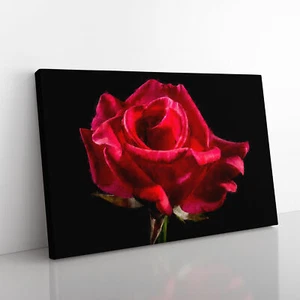 Red Rose Flower Vol.2 Canvas Wall Art Print Framed Picture Decor Living Room - Picture 1 of 6