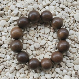 Pulsera de madera de aloe de 12 cuentas de madera de aloetoxilón 20 mm indonesio Gaharu Buaya de 12 cuentas #46 - Imagen 1 de 4