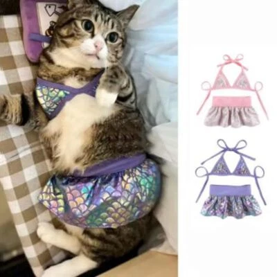 Pet Clothes Bra Short Skirt Set Outdoor Pet Clothing Beach Pants Swimsuit - Image 1 of 4