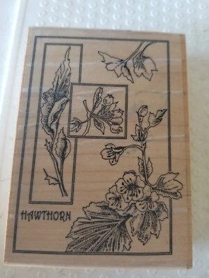 Stampington Espino Planta Flor M4175 Sello Goma 3" x 4" Foto 1 de 3