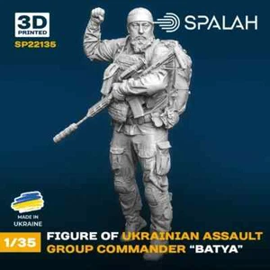 Scale Model Soldier Figure 1:35 Ukrainian Commander Elite Ukrainian War 3d Arma - Picture 1 of 3