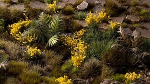 Flores amarillas - silvestres - Imagen 1 de 3