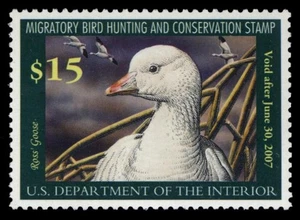 RW73 — XF-SUPERB 95 NH, PSE Certificate - Picture 1 of 1