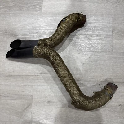 Escape para Harley-Davidson Sportster Foto 1 de 2