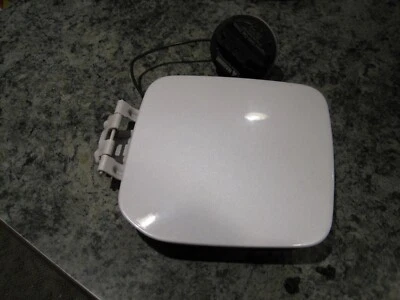 Nissan Maxima Gas Fuel Door OEM 2005 Winter Frost color code 2X3 - Image 1 of 3