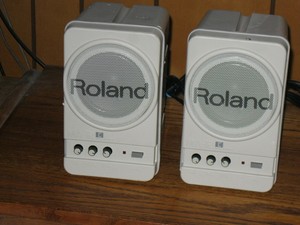 roland powered speakers