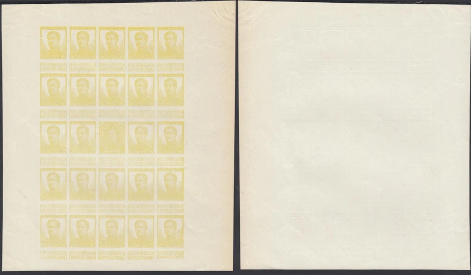 Bélgica 1912-Pruebas.Mi Nº:102 II.Hoja de 20.EDICIÓN PRIVADA. Amarillo (EB) MV-18171 Foto 1 de 1