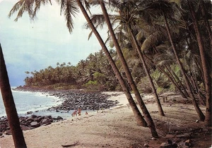 973-GUYANE ILES DU SALUT-N� 4385-D/0171 - Picture 1 of 2