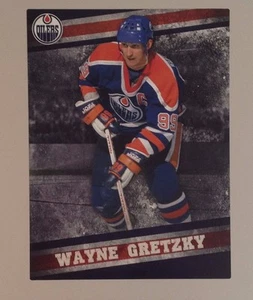 Wayne Gretzky FATHEAD OILERS Player Mural 21.5" x 16" Wall Graphics Decal - Picture 1 of 1