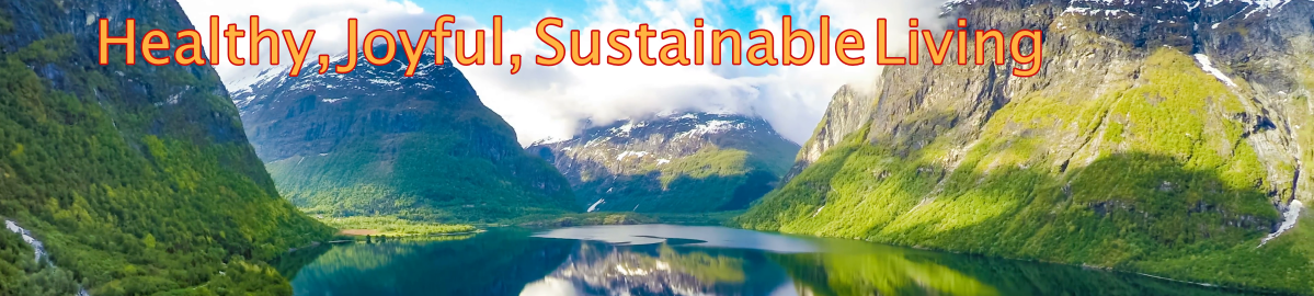 Healthy Joyful Sustainable Living