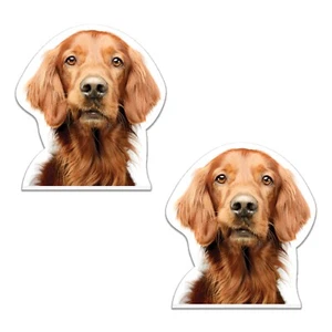 2x Irish Setter Dog Printed Car Funny Window Bumper Wall Vinyl Decal Stickers - Picture 1 of 3