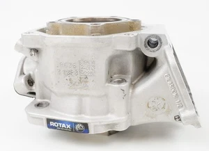 Junior Rotax Max Kart EVO PK Engine Cylinder / Barrel - Picture 1 of 7