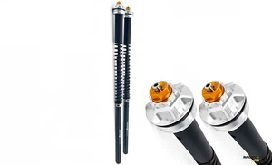 HYDRAULIKPATRONE GABEL ANDREANI VERSTELLBAR FÜR FANTIC CABALLERO 700 24-25 - Bild 1 von 2