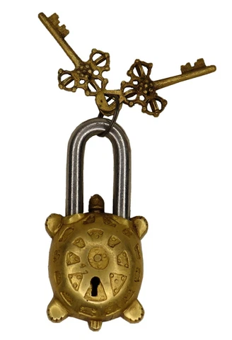 Turtle Door Lock Victorian Antique Style Handmade Solid Brass Tortoise Padlock Cover