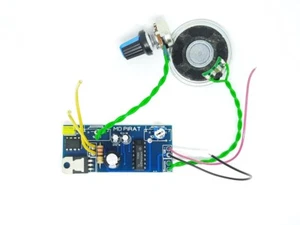 Pirat impulse metal detector module. With speaker. Search depth up to 3 meters - Picture 1 of 8