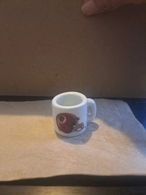 Taza Cerámica NFL Washington Redskins DE COLECCIÓN 1.25" BUEN ESTADO Usada  Foto 1 de 4