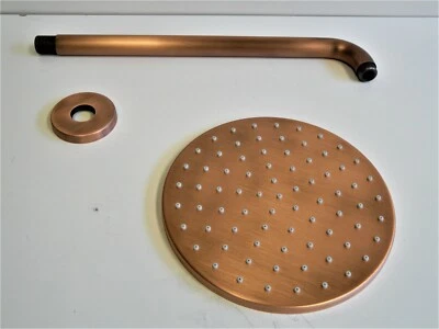 Hansa Viva Douche Pluie Alt-Cuivre, Douche Tête Plat, 200Mm, 44260100 - Photo 1/4