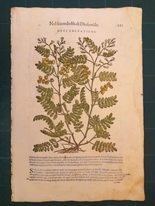 MATTIOLI MATTHIOLI Herbarium mit großen Figuren Original von 1604 CECI - Bild 1 von 1