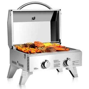 2 Burner Portable Stainless Steel BBQ Tabletop Propane Gas Grill Outdoor Camping - Picture 1 of 6