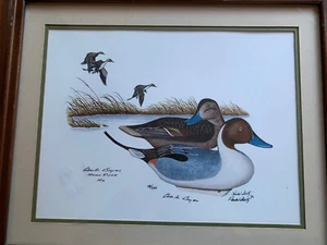 Charles Bryan Paul Shertz S/N Pintail - Picture 1 of 9