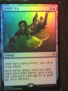 (Pre-release Foil) [NM] MTG Korean, Ixalan, 1 x Arcane Adaptation - Picture 1 of 1