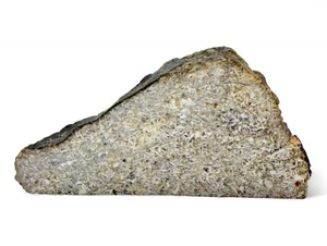 7.5 gram Eucrite HED Achondrite | NWA 7334 - TOP METEORITE - Picture 1 of 6
