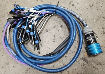 Whirlwind W6IRP a salida de ventilador - 28 canales XLR y TRS - 10' de largo Foto 1 de 4