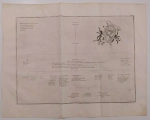 1723 Peter Van der Aa Albero Genealogico Gian Francesco Poggio Bracciolini - Picture 1 of 6