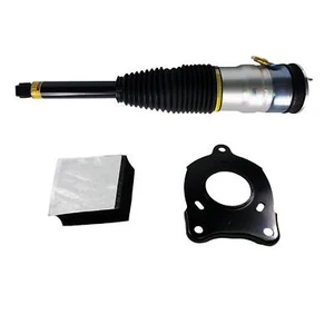 PUNTONE SOSPENSIONI PNEUMATICHE POSTERIORI ADATTO TESLA MODEL S (5YJS) 2012-2016 6006352-00-C - Foto 1 di 7