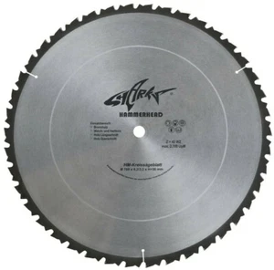Brennholz Sägeblatt Ø 700 x 30mm LWZ Zuschnitt HM Kreissägeblatt Wipp-Säge - Bild 1 von 2
