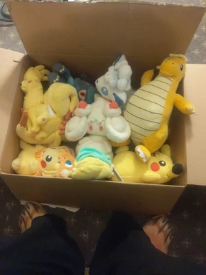 Lote de 7 Peluches Pokemon Y Toon Link Foto 1 de 4
