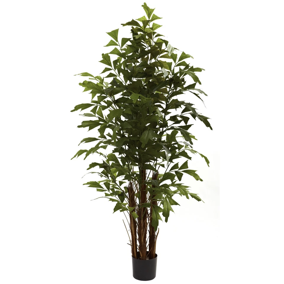 Fishtail Palm Tree Tree Plant Indoor Bonsai Decoration Flowering Houseplant - Image 1 of 1