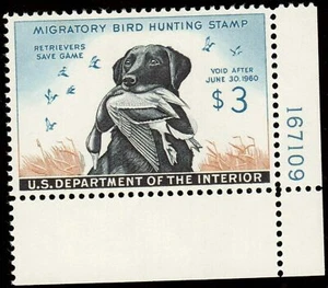 RW26 (3 $ Ente) - GEM CENTER - POSTFRISCH - POSITIONSSTÜCK mit PLATTE # - UNBEDINGT ANSEHEN!! - Bild 1 von 1