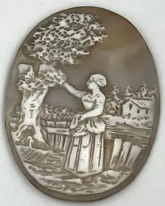 Antique Victorian Large Shell Cameo Italian Circa 1880 - Picture 1 of 7