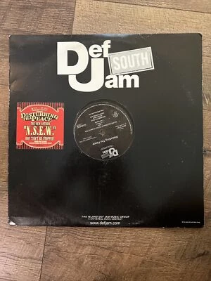 LUDACRIS DISTURBING THE PEACE N.S.E.W. AND CAN'T BE STOPPED 12" VINYL SINGLE EX - Image 1 of 4