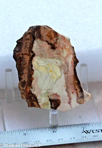 Willow Creek Porcelain Jasper Lapidary Slab 2.0 oz ( 55 grams) - Picture 1 of 6