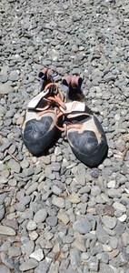 la sportiva P3 Kletterschuhe Damen Größe 37 Needs Resole Kletterschuh Gym - Bild 1 von 6