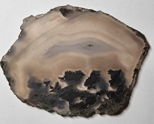 Agate Lapidary Slab With Black Plume 89 Grams - Picture 1 of 12