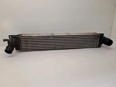 2012 13 2014 福特 EDGE 中冷器 2.0L 升涡轮 CT4Z6K775A 12-14 — 第 1/4 张图片