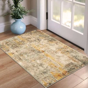 Entrance Rugs Indoor 2x3 Beige Entry Rug Washable Abstract Small Area Rug Non... - Picture 1 of 9