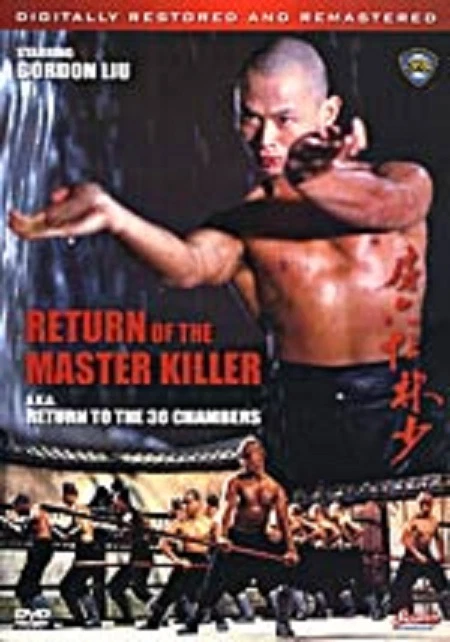 Return of the Master Killer - Hong Kong RARE Kung Fu Martial Arts movie -9C - Image 1 of 1