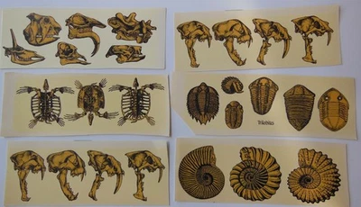 CALCOMANÍAS 6 hojas de calcomanías cerámicas esmaltadas de esqueleto/caveras animales Foto 1 de 3