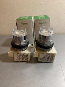 2 Lámpara Schneider Electric 9001 KM1 SER H 755; 30mm Serie M - Imagen 1 de 5